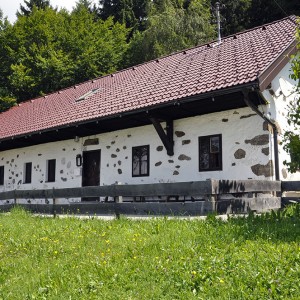 Eidenberghaus (6).jpg
